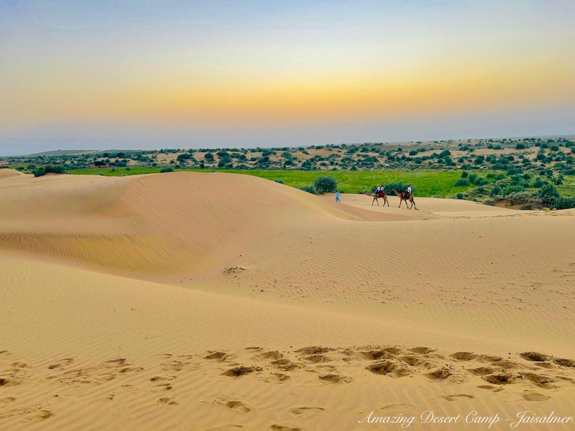 Amazing Desert Camp Jaisalmer Exteriör bild